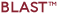Blast (tm)